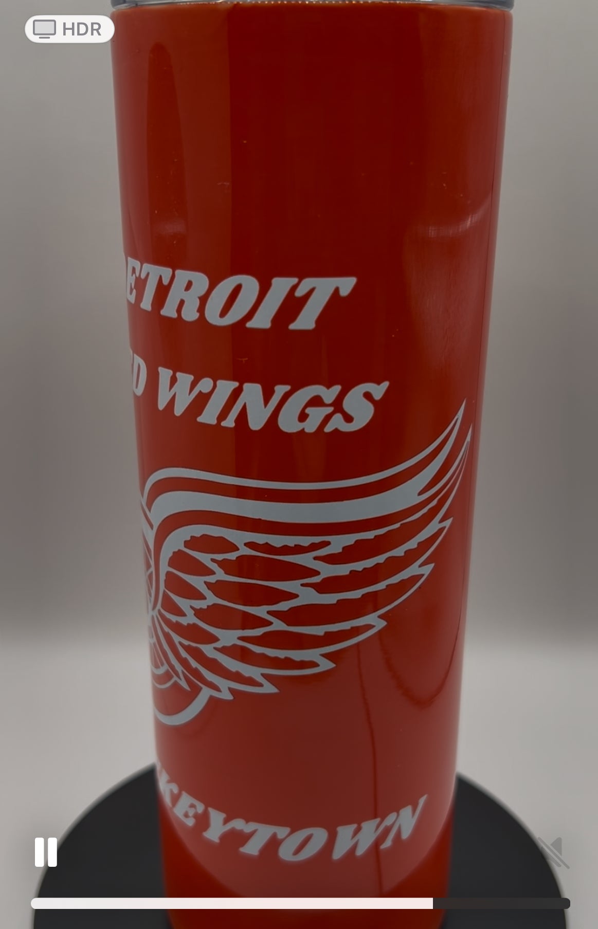 Red Wings Hockey Town