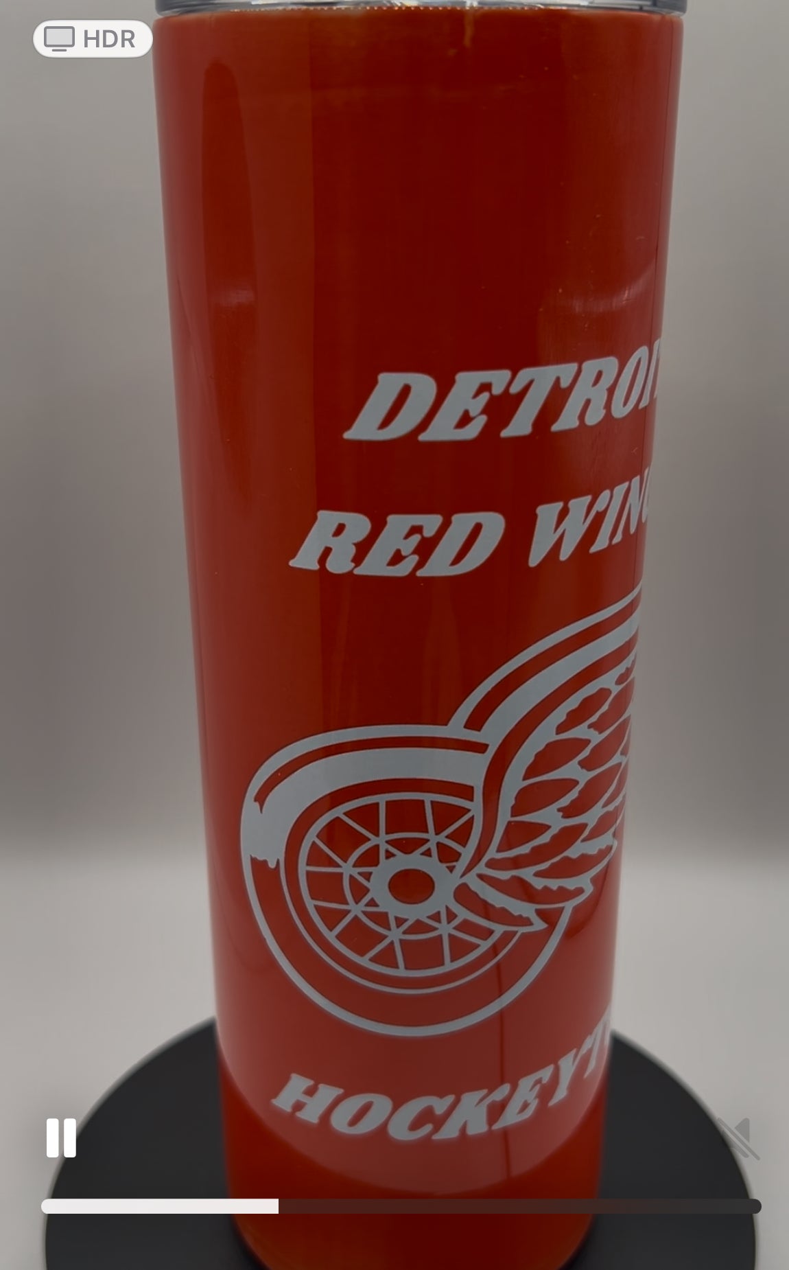 Red Wings Hockey Town